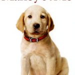 دانلود فیلم مارلی و من Marley and Me 2008