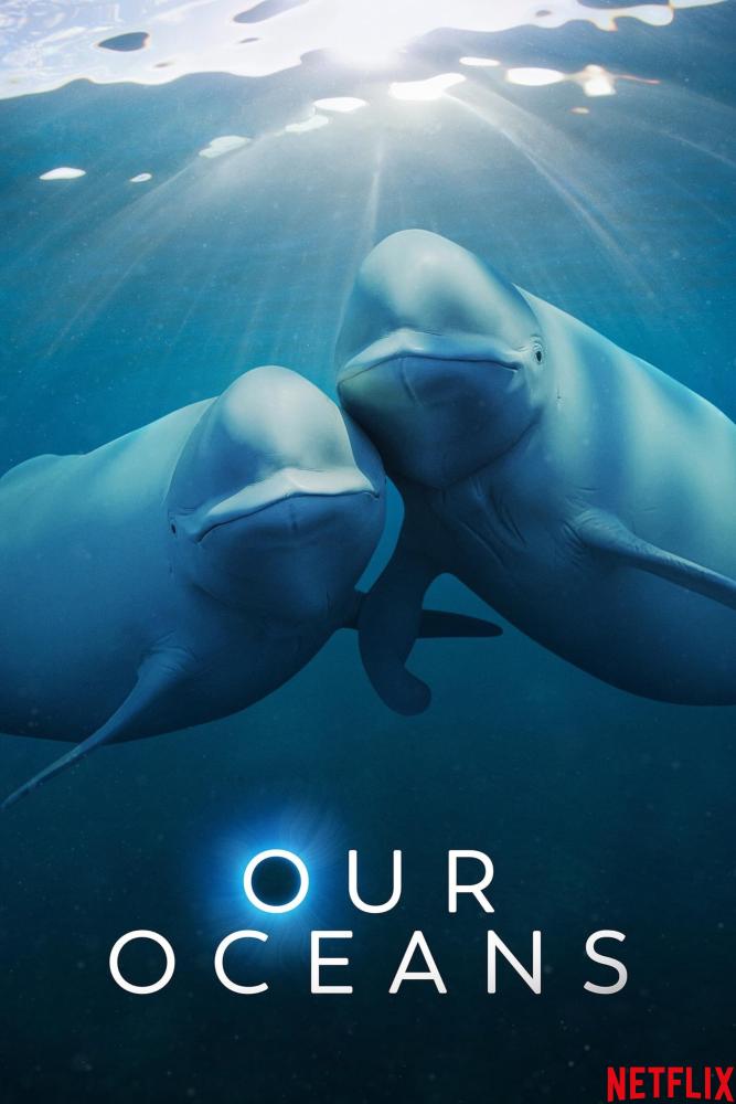 دانلود مستند اقیانوس های ما Our Oceans