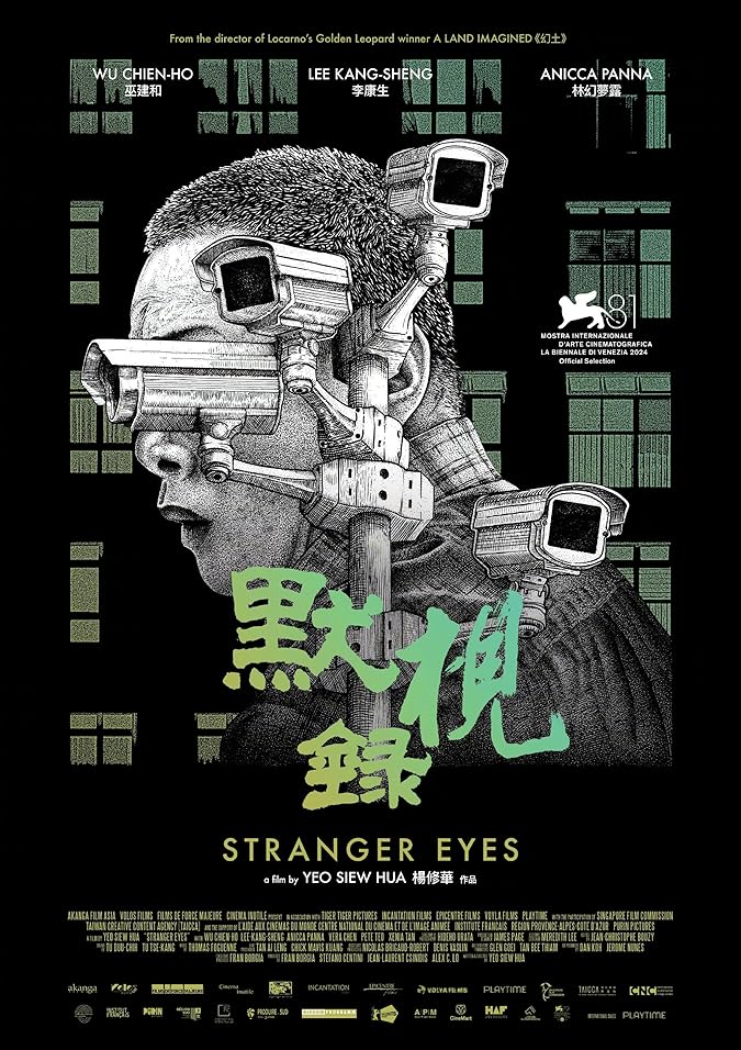 دانلود فیلم چشم‌های غریبه Stranger Eyes 2024