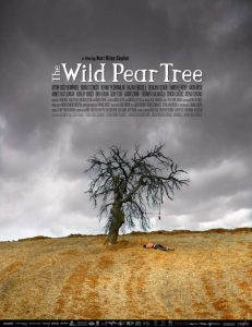 دانلود فیلم درخت گلابی وحشی The Wild Pear Tree 2018 دوبله فارسی