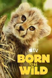 دانلود مستند متولد حیاط وحش(2025)Born to be Wild