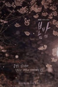 دانلود سریال کره ای یک شب بهاری One Spring Night