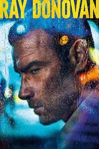 دانلود سریال رای داناوان Ray Donovan دوبله فارسی