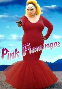 دانلود فیلم فلامینگوی صورتی Pink Flamingos 1972