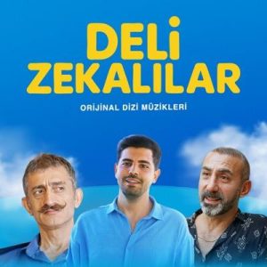 دانلود سریال ذهن‌های دیوانه Deli Zekalılar